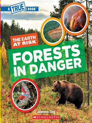 cover image of Forests in Danger 